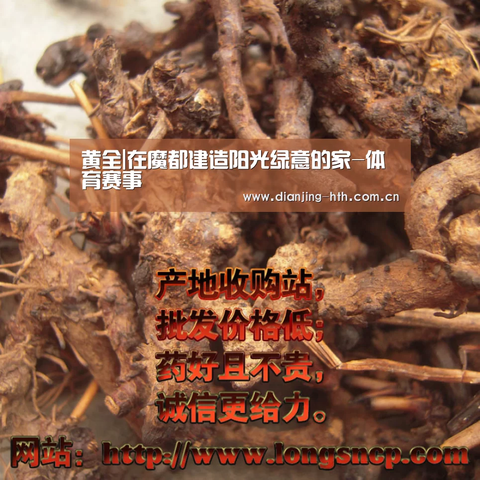黄全|在魔都建造阳光绿意的家-体育赛事(图1) 华体会官网