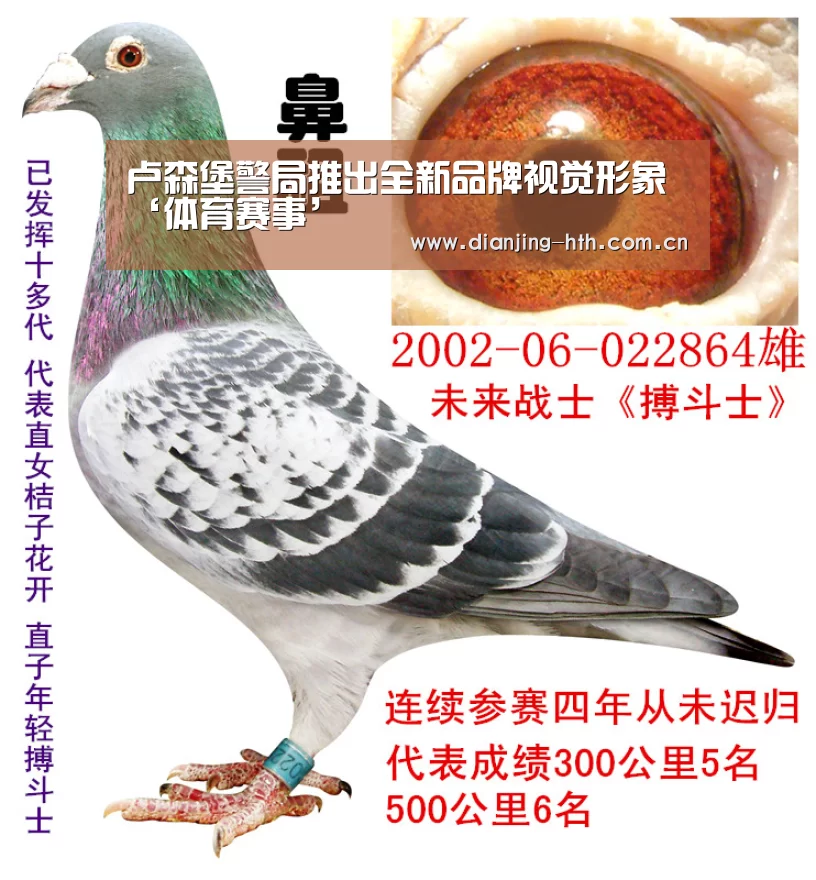 卢森堡警局推出全新品牌视觉形象‘体育赛事’(图4) 卢森堡警局推出全新品牌视觉形象‘体育赛事’(图4)