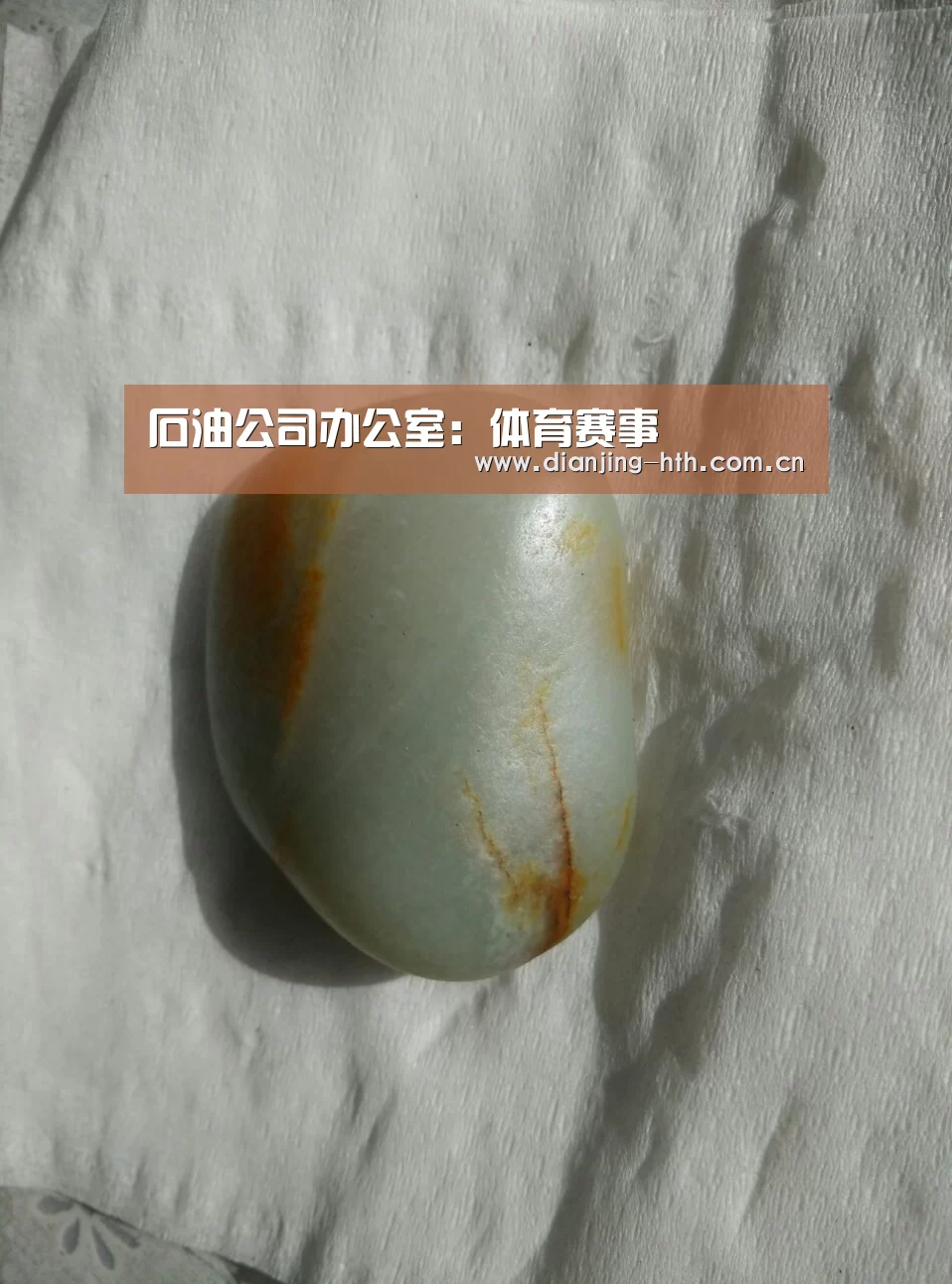 石油公司办公室:体育赛事(图3) 华体会官网